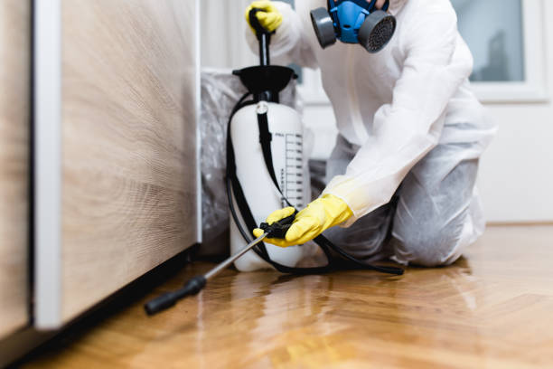Pest Control for Restaurants in Sharon Center, OH