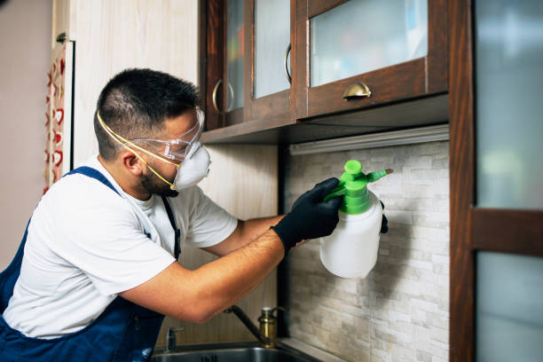 Best Pest Removal Services  in Sharon Center, OH