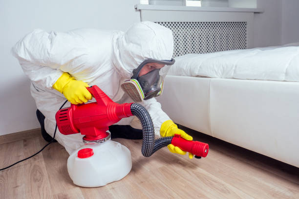 Best Wasp Removal Services  in Sharon Center, OH