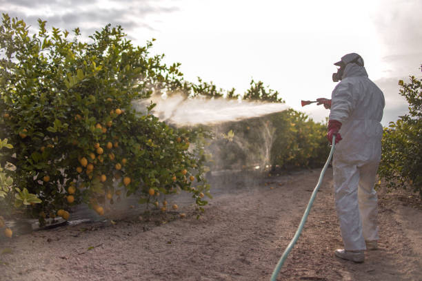 Best Pest Removal Services  in Sharon Center, OH