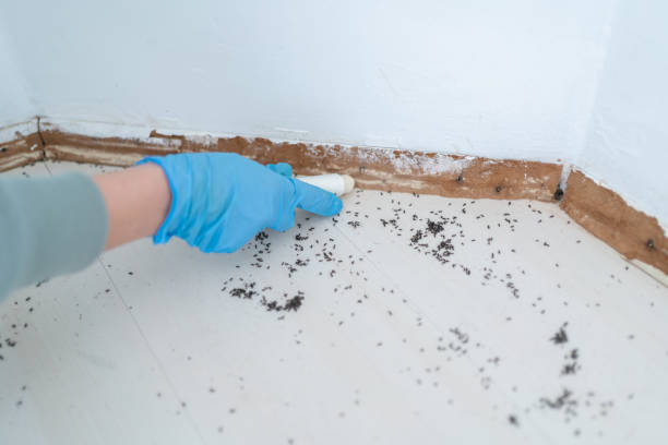 Best Pest Control for Businesses  in Sharon Center, OH